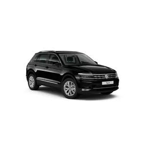 Доводчики дверей на VOLKSWAGEN TIGUAN, комплект 4 шт
